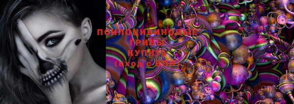 ГАЛЛЮЦИНОГЕННЫЕ ГРИБЫ Арсеньев