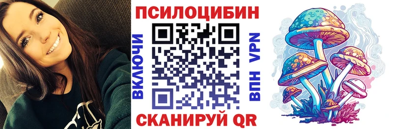 Галлюциногенные грибы Psilocybe  Сатка 